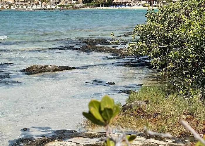 Apartment Cozy Terrace @ Blue House Puerto Aventuras
