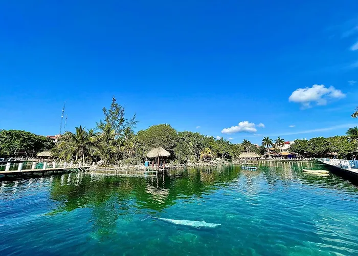 Apartment Cozy Terrace @ Blue House Puerto Aventuras